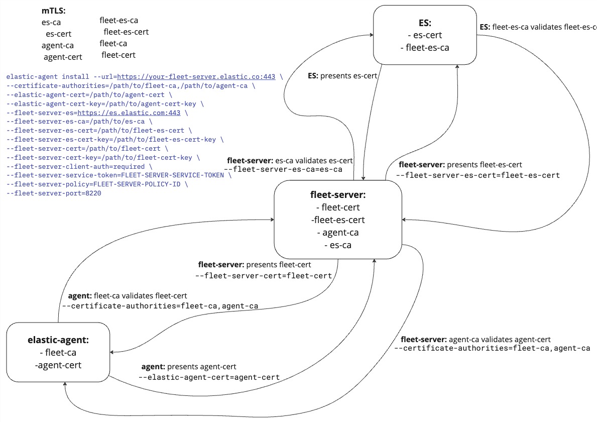 Diagram of mutual TLS connection between components