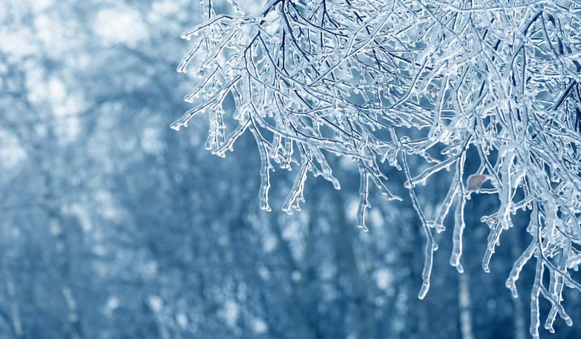 Auftauen des Permafrosts von ICEDID Zusammenfassung