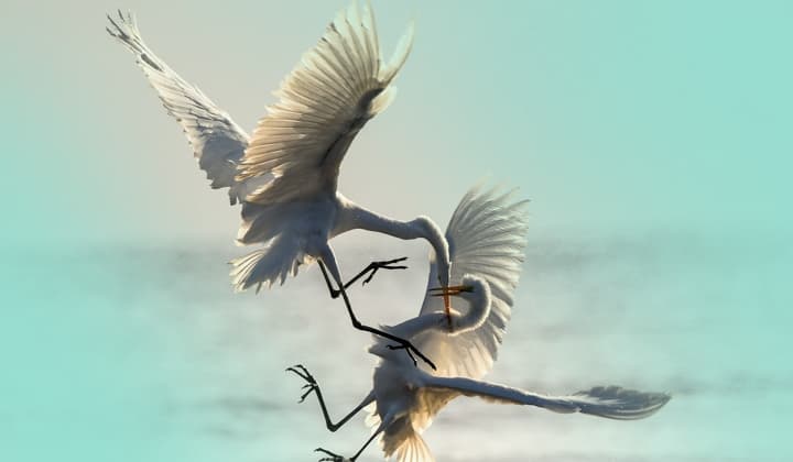 Aktualisierung des REF2924 Intrusion Sets und der zugehörigen Kampagnen