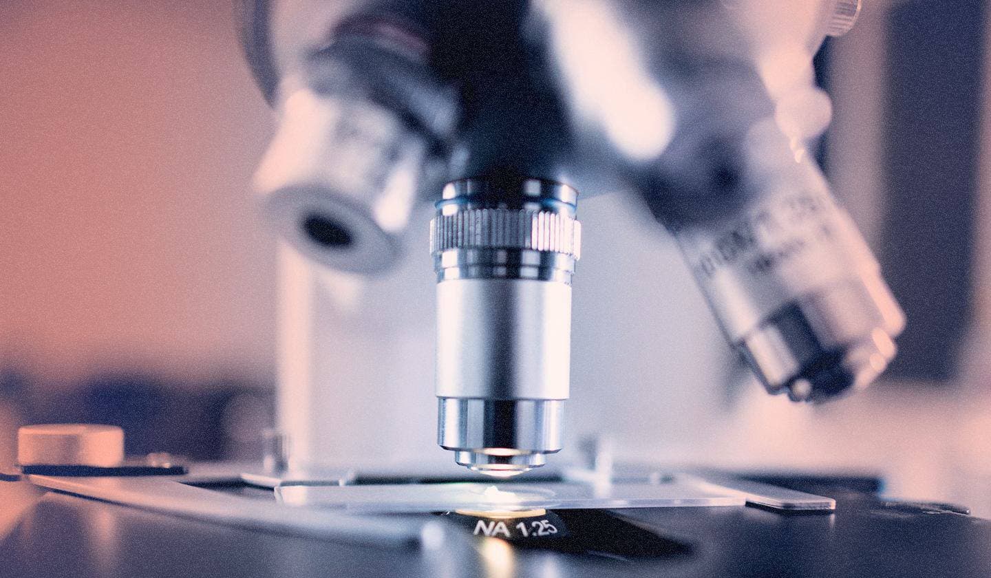 A la caza de ataques de .NET en memoria