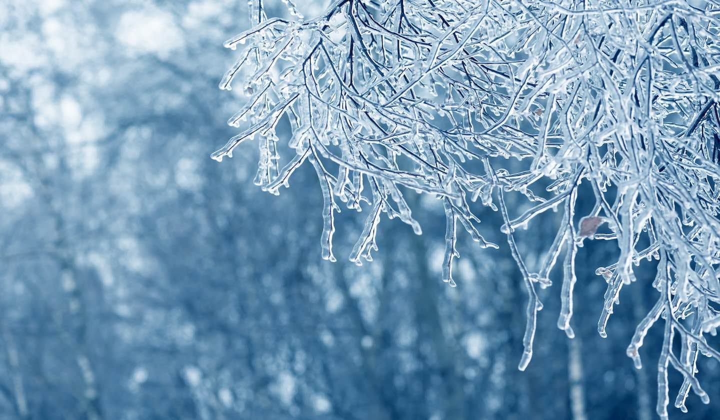 Deshielo del permafrost de ICEDID Resumen