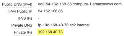 Private IP address information in AWS EC2 Dashboard