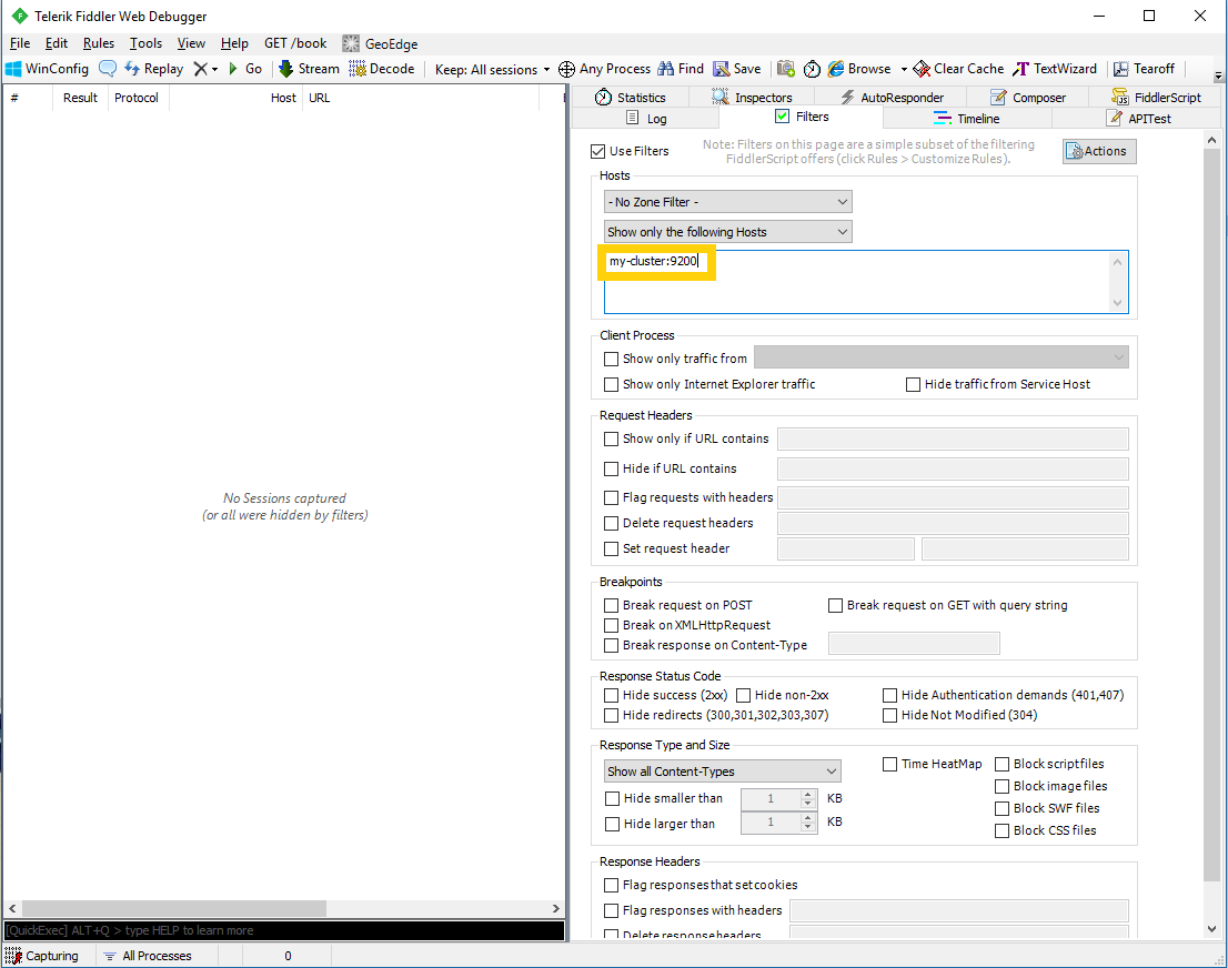 Capturing requests to a remote host