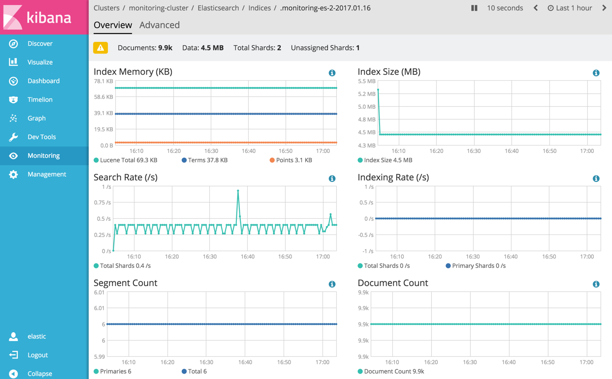 Elasticsearch Index Overview