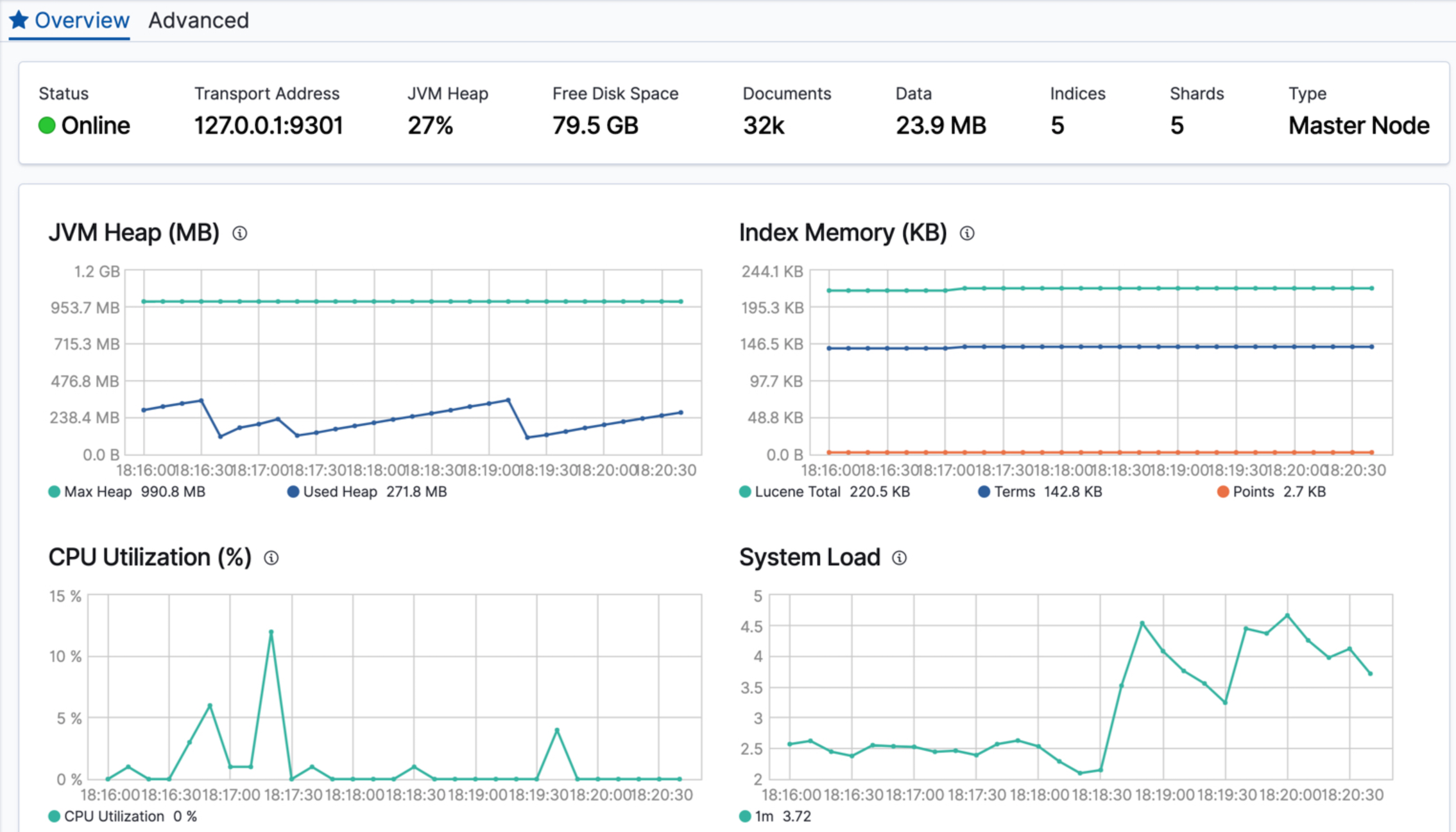 Elasticsearch Node Overview