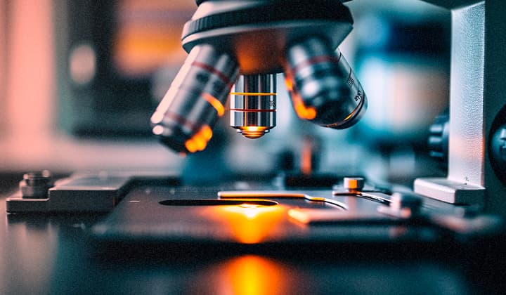 プレースホルダー画像