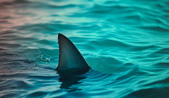 REMCOS RAT 해부: 널리 퍼진 2024 멀웨어에 대한 심층 분석, 2부