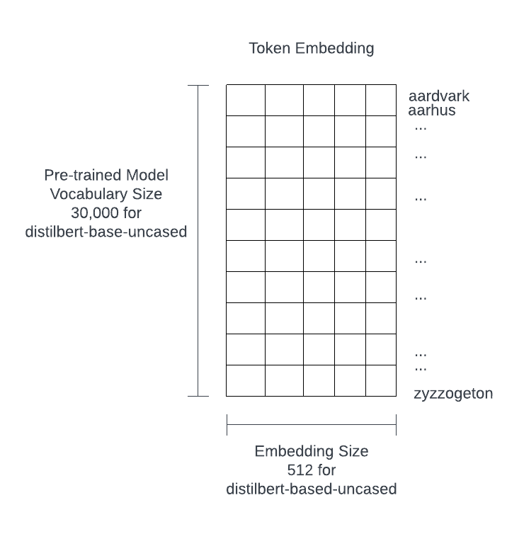 token embedding