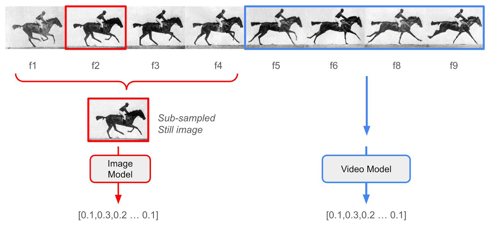 A diagram showing how a video model processes motion compared to an image model. The top part shows a series of still images of a galloping horse, while the bottom compares a single "sub-sampled" still image processed by an "Image Model" with a series of frames processed by a "Video Model," illustrating how a video model captures motion.