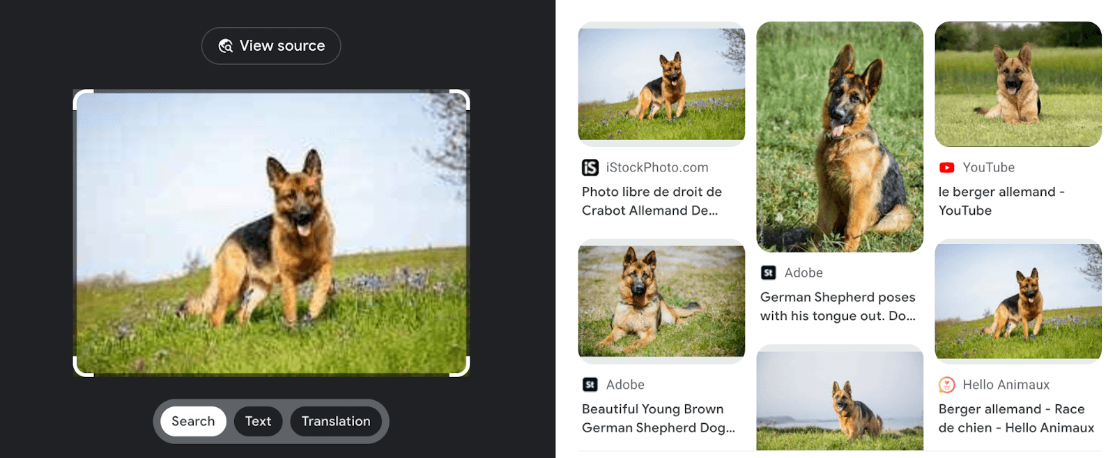Semantic search example: Searching for a picture